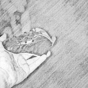 Meet your Posher, Bj